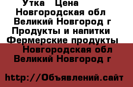 Утка › Цена ­ 400 - Новгородская обл., Великий Новгород г. Продукты и напитки » Фермерские продукты   . Новгородская обл.,Великий Новгород г.